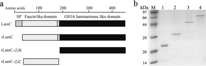 FIG 1