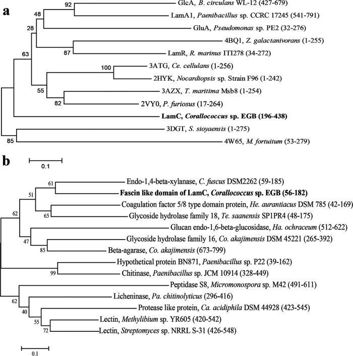 FIG 2