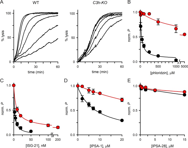 Fig 6