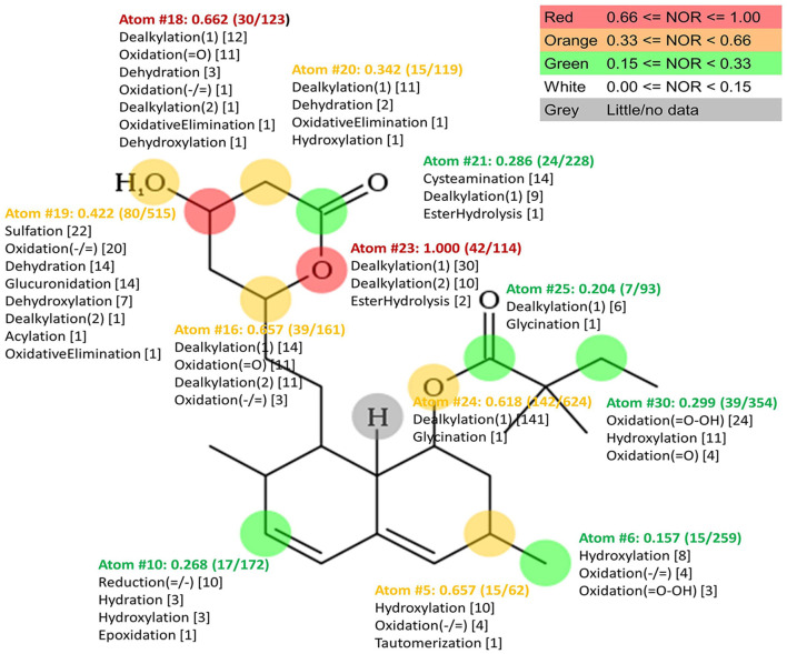 FIGURE 3