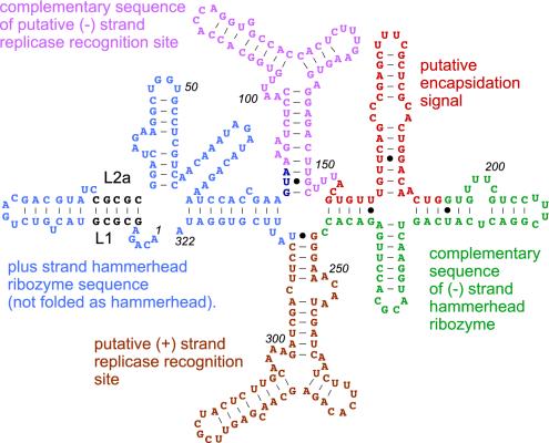 FIG. 7.