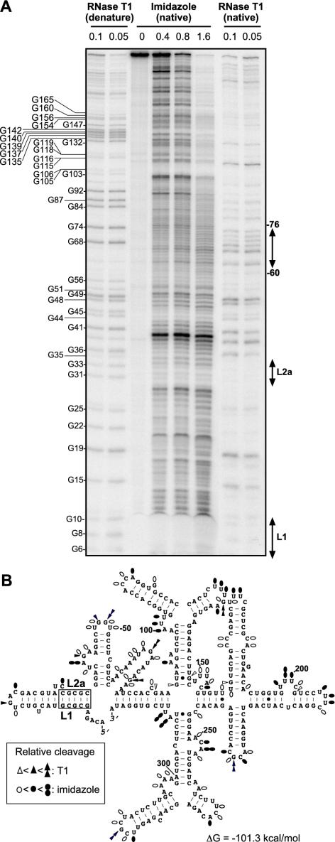 FIG. 1.