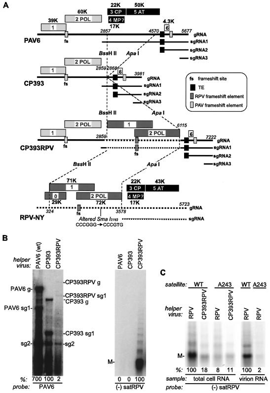 FIG. 6.