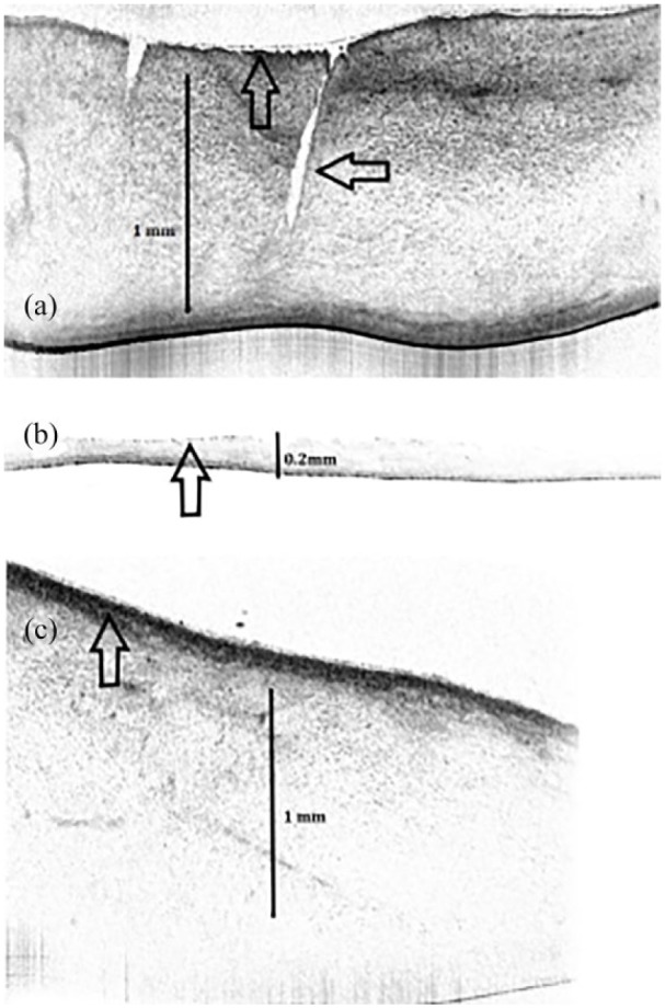 Figure 10.