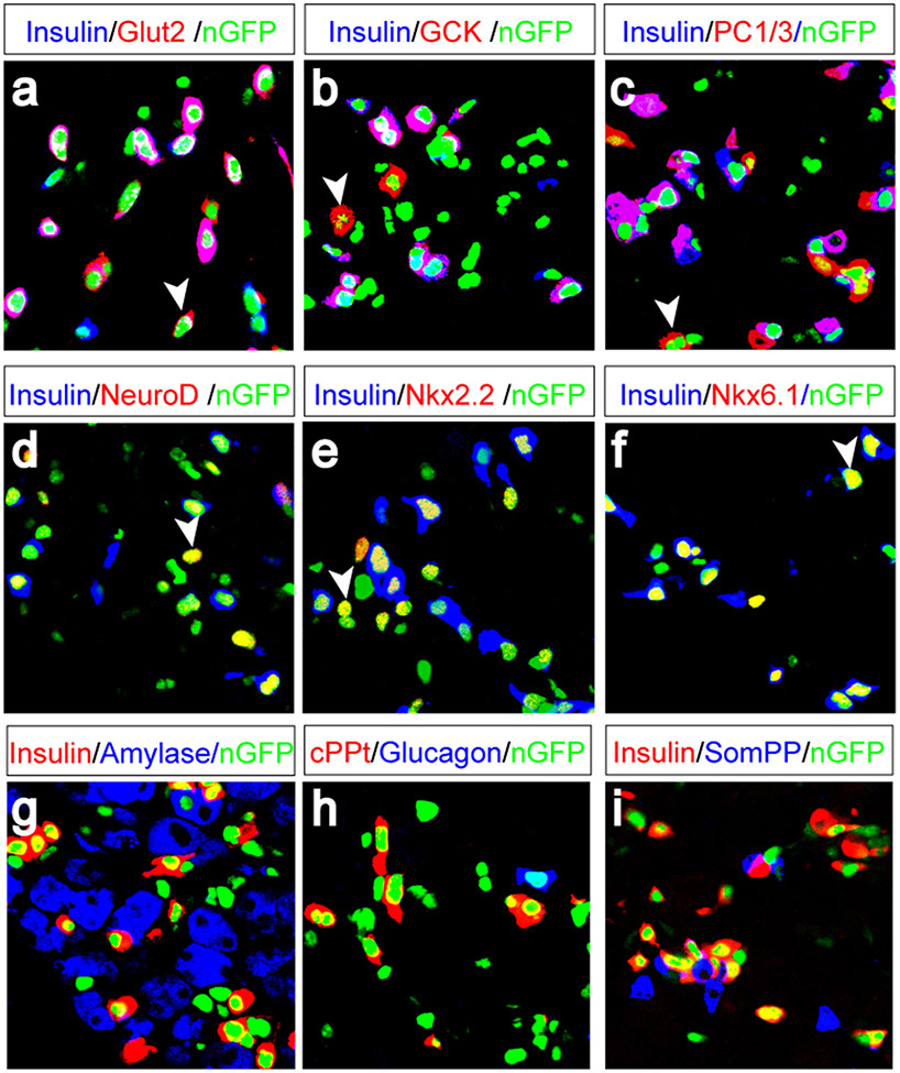 Figure 4.