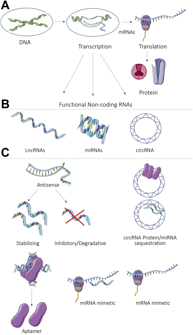 Figure 1