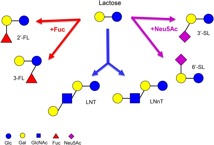 FIGURE 3