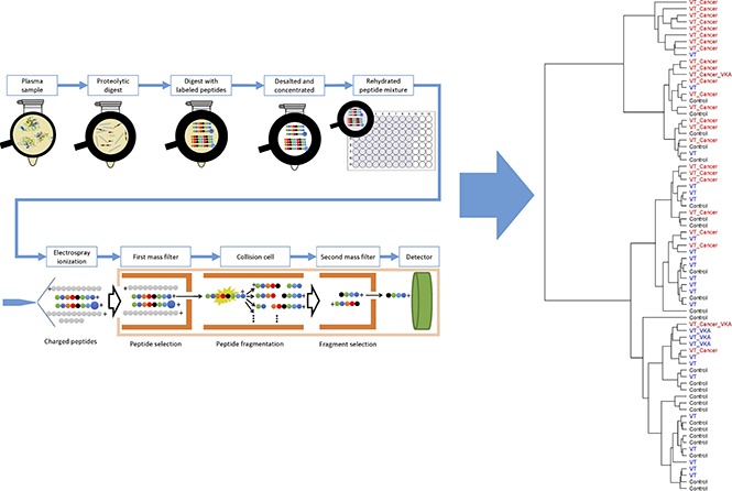 graphic file with name advances007955absf1.jpg