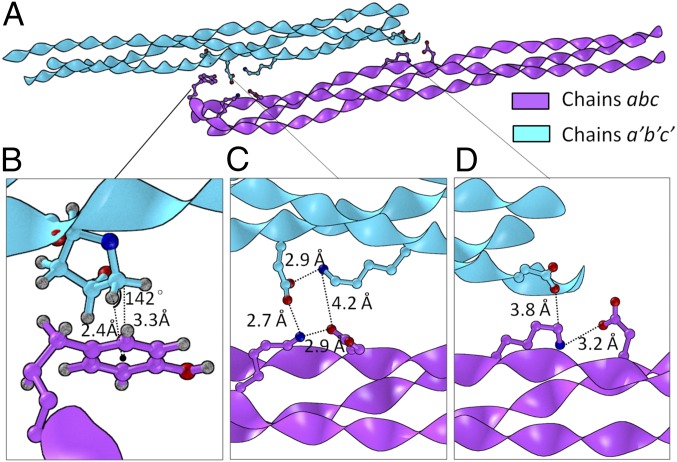 Fig. 6.