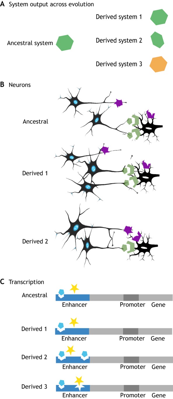 Fig. 3.