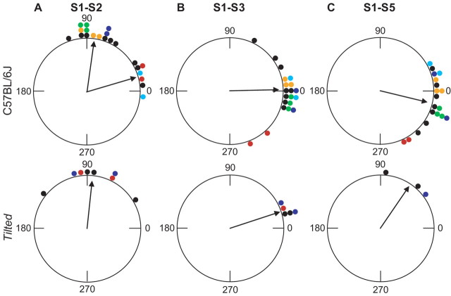 Figure 8.