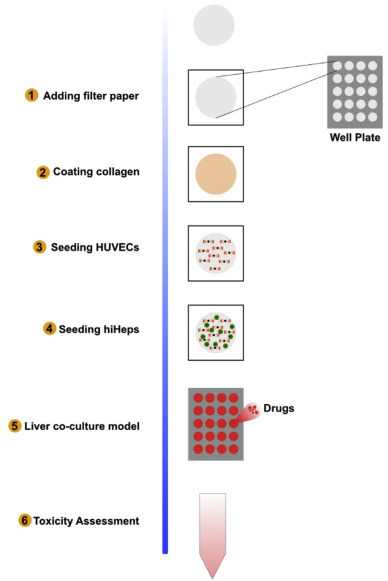 Fig. 6