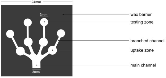 Fig. 2