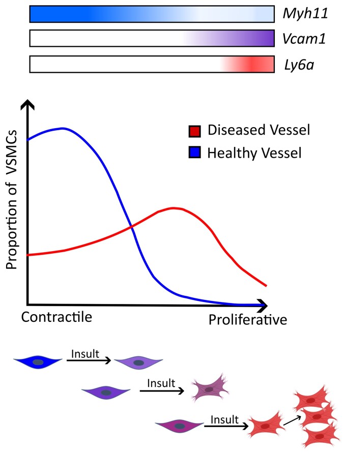 Graphical Abstract