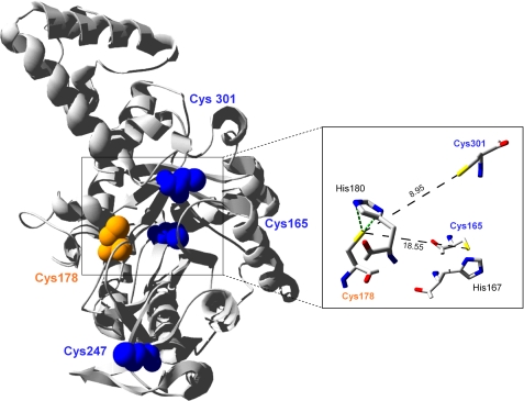 FIGURE 1.