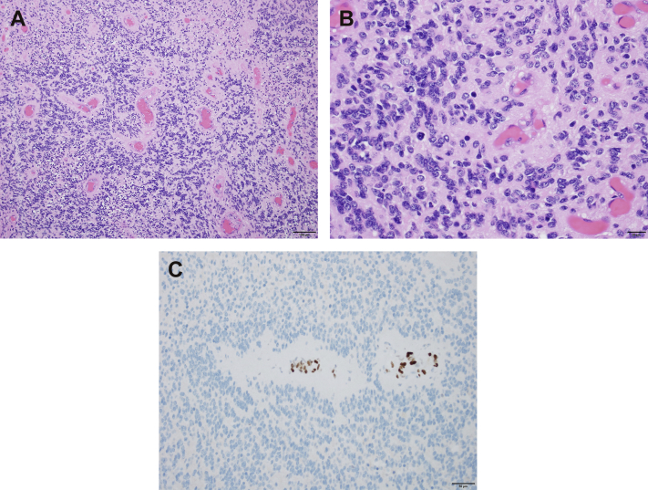 Figure 2