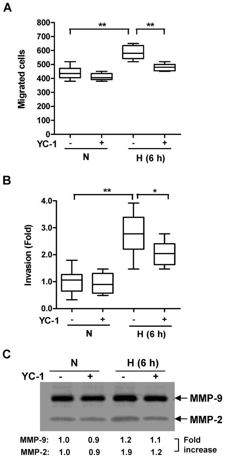 Fig. 5