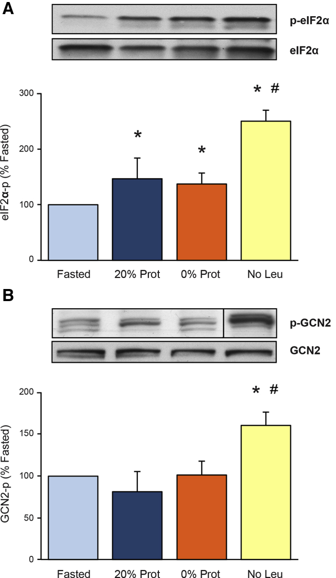 Figure 4