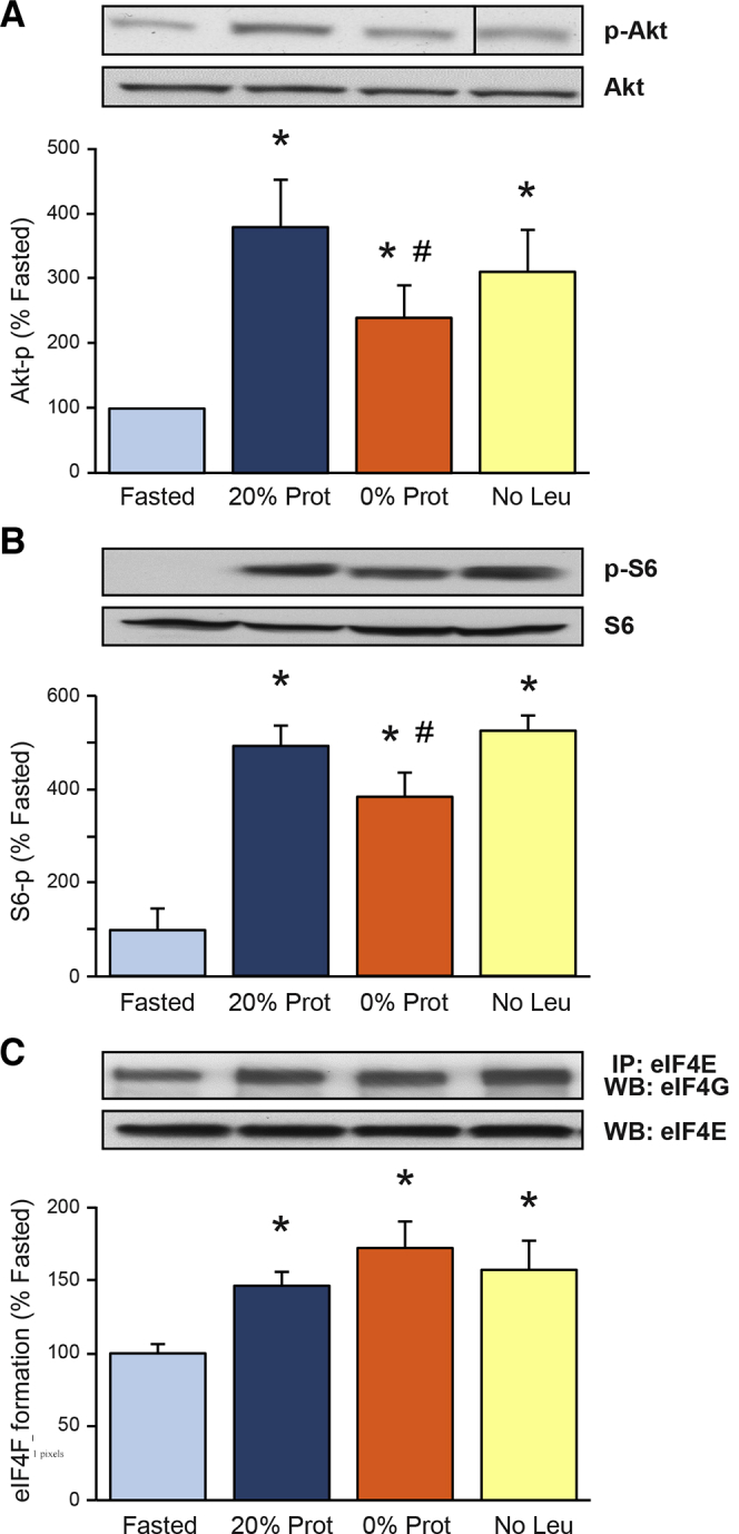 Figure 3