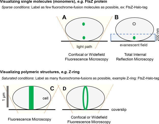 FIG 3