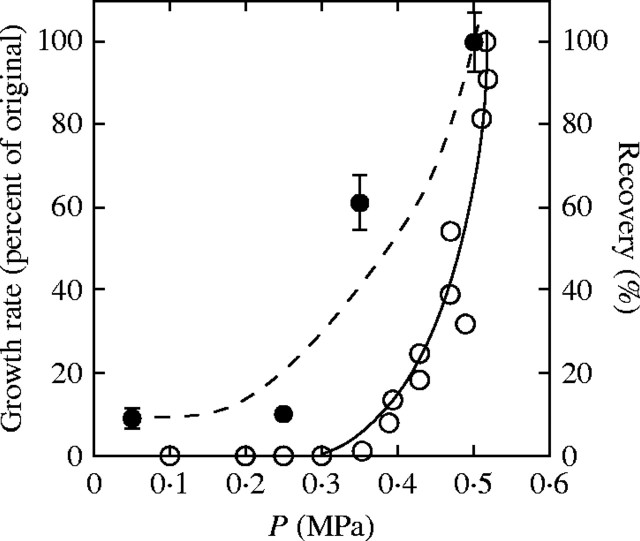 Fig. 11.