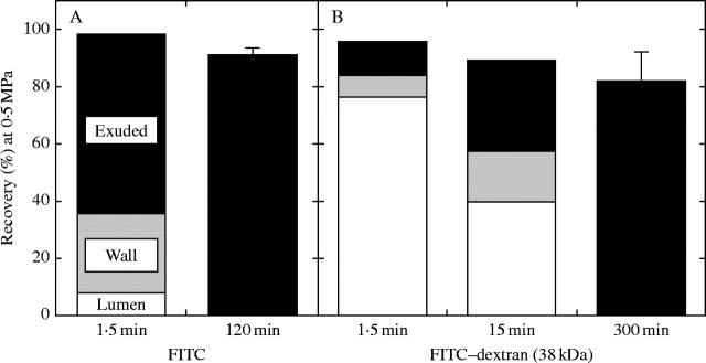 Fig. 8.