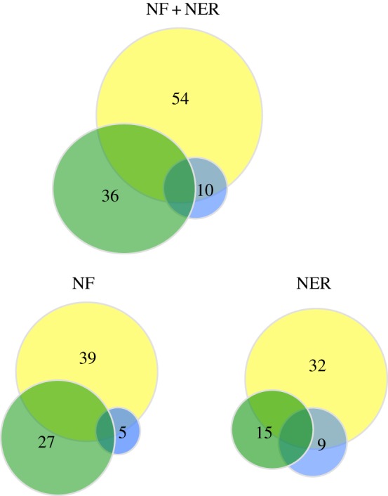 Figure 2.