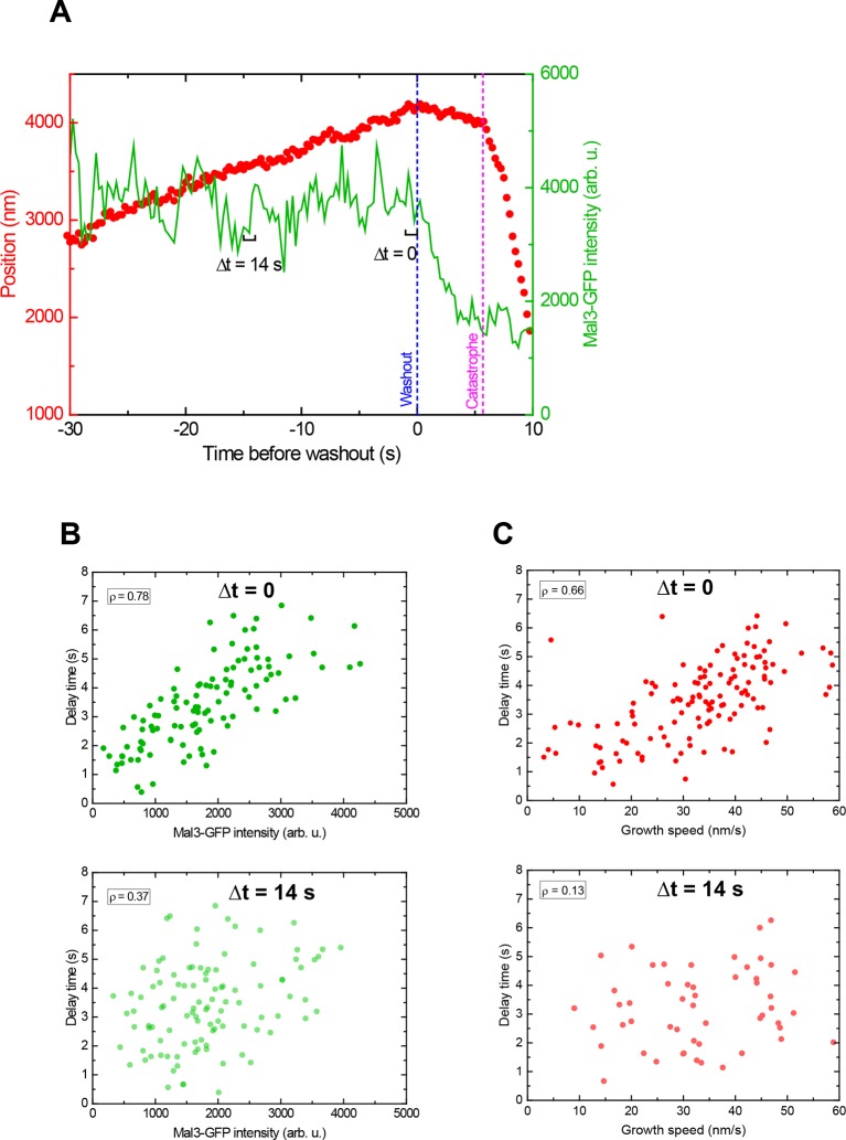 Figure 4—figure supplement 2.