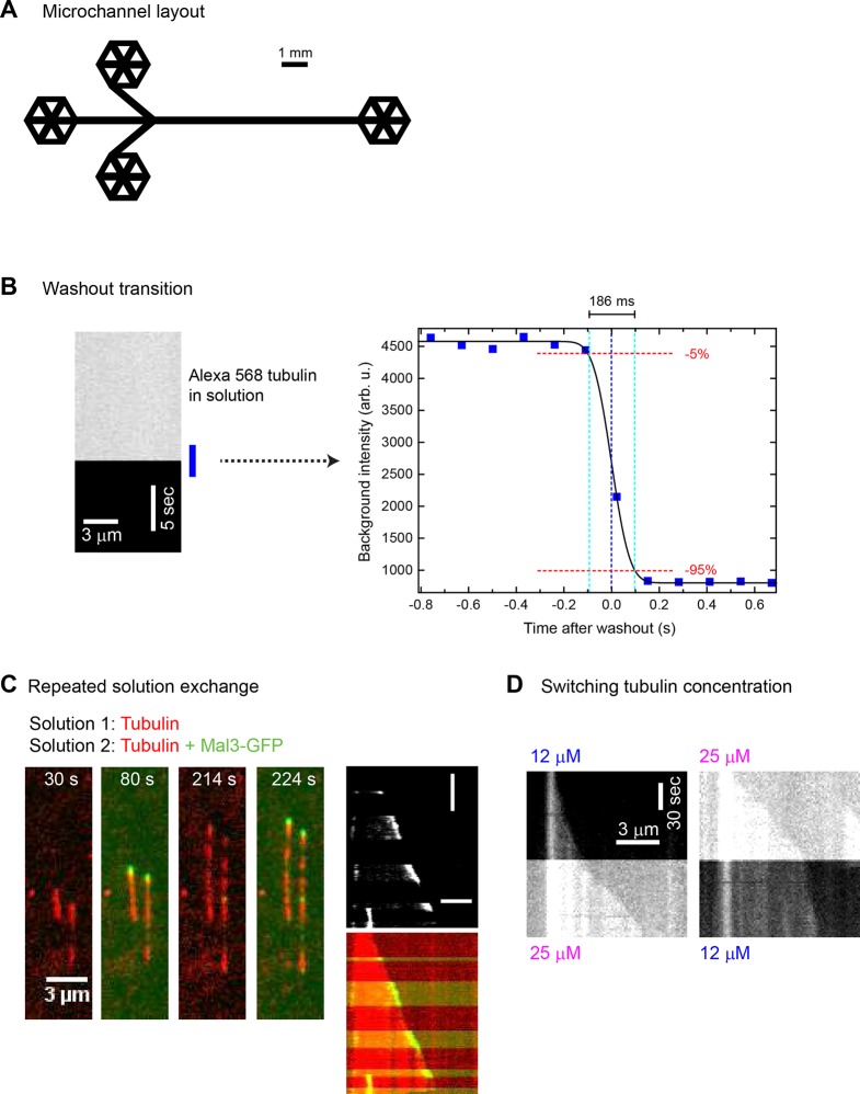 Figure 1—figure supplement 1.