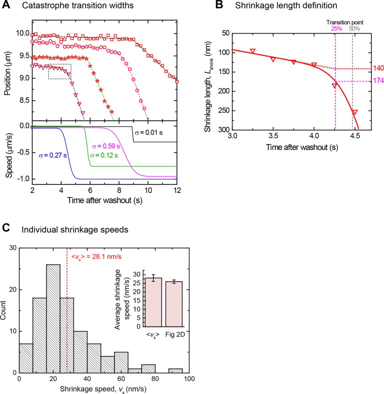 Figure 2—figure supplement 1.