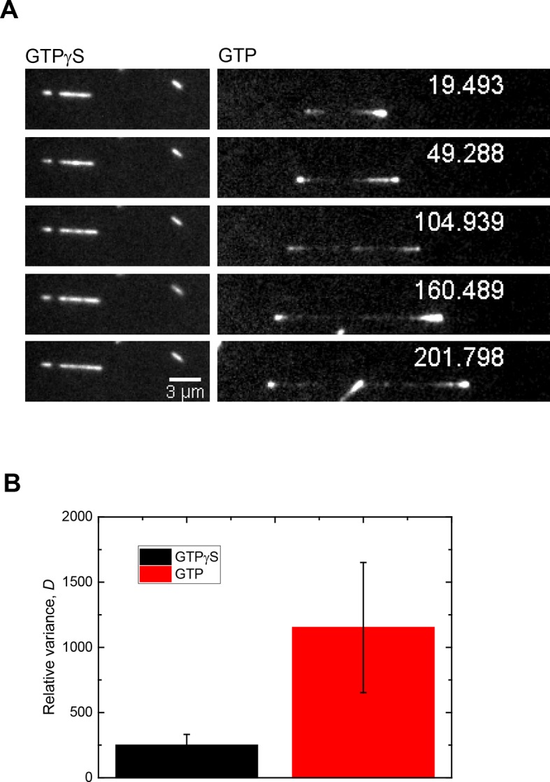 Figure 4—figure supplement 1.