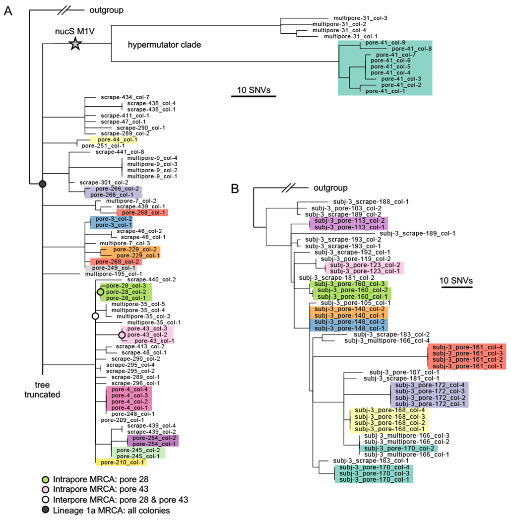 FIGURE 4: