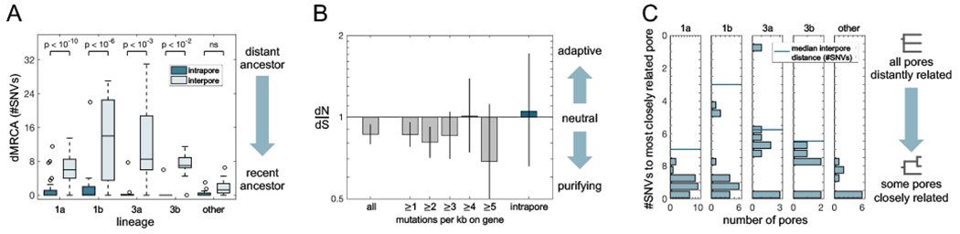 FIGURE 5: