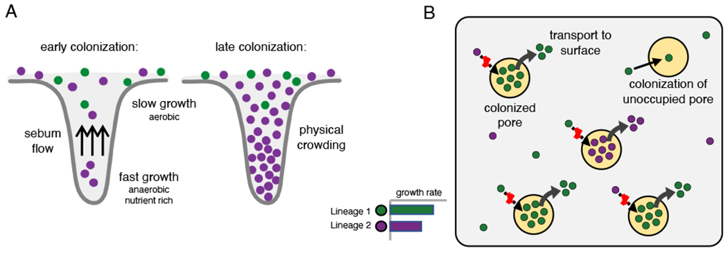 FIGURE 6: