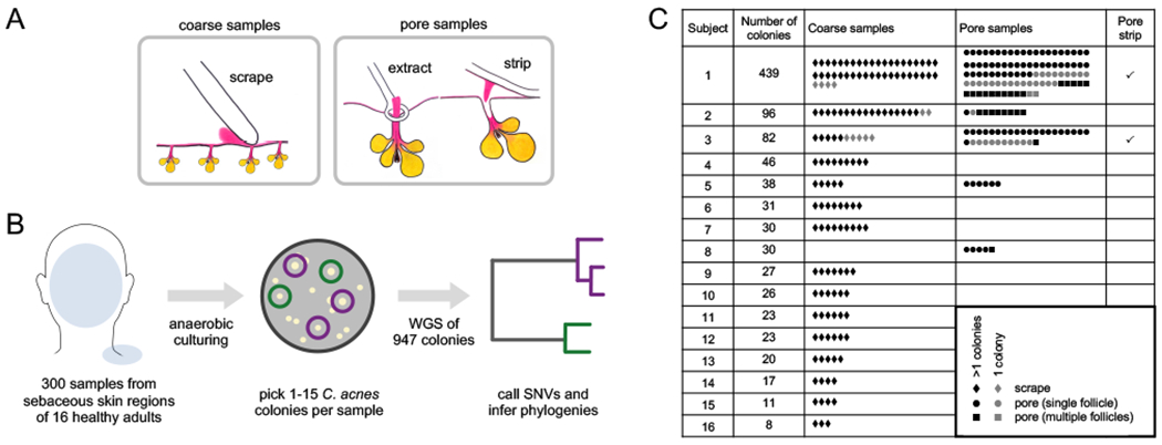 FIGURE 1: