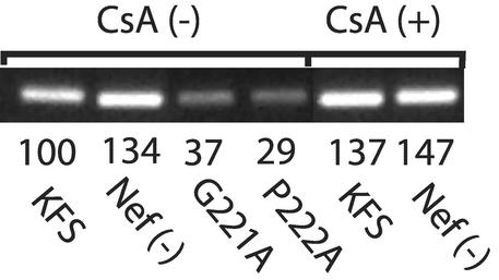 FIG. 4.