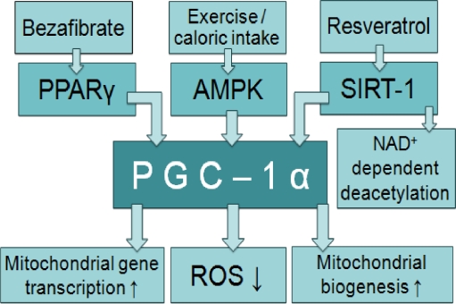 Fig. 2