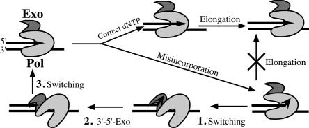 FIG. 1.