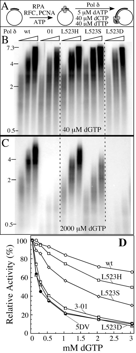 FIG. 4.