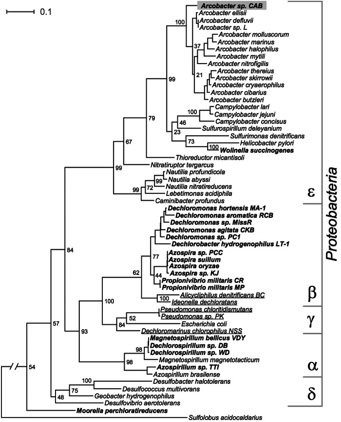 FIG 1 