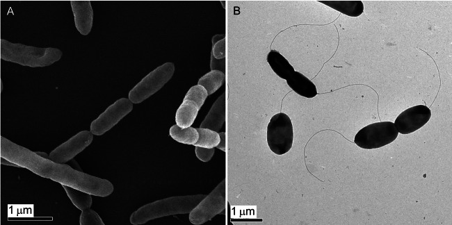 FIG 2 