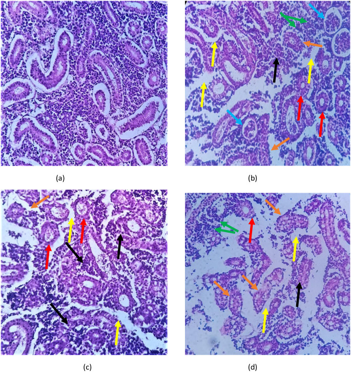 Fig 6