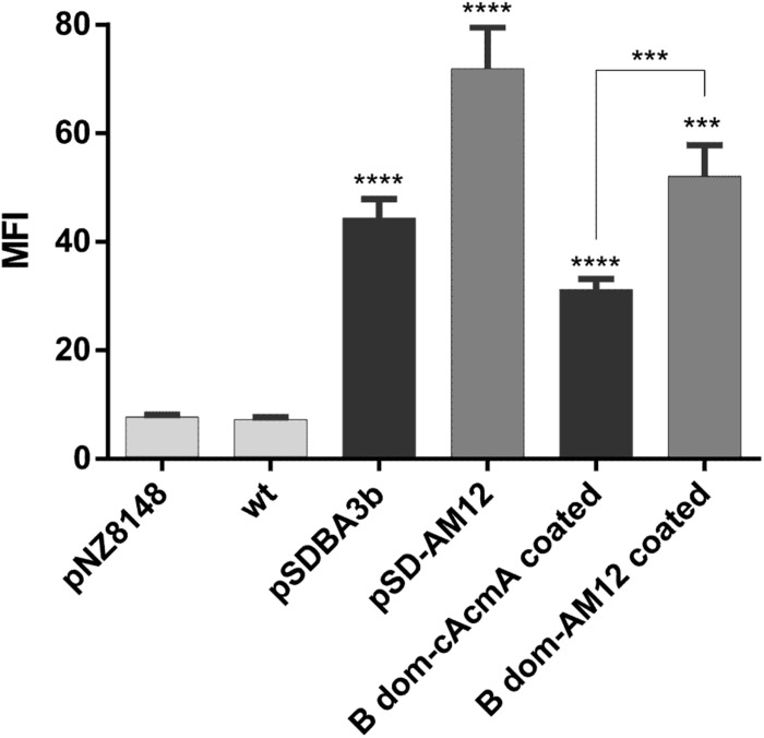 FIGURE 6