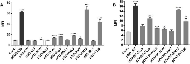 FIGURE 4