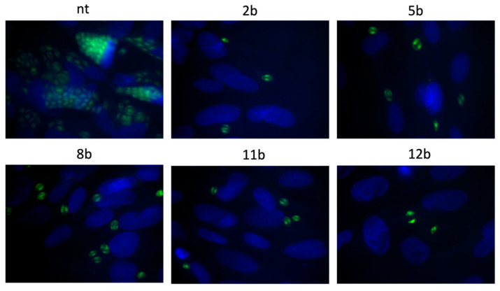 Figure 10