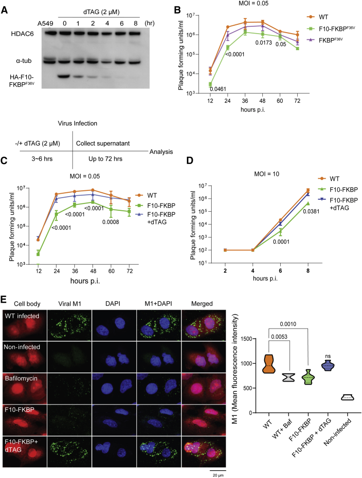 Figure 3