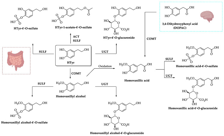 Scheme 2