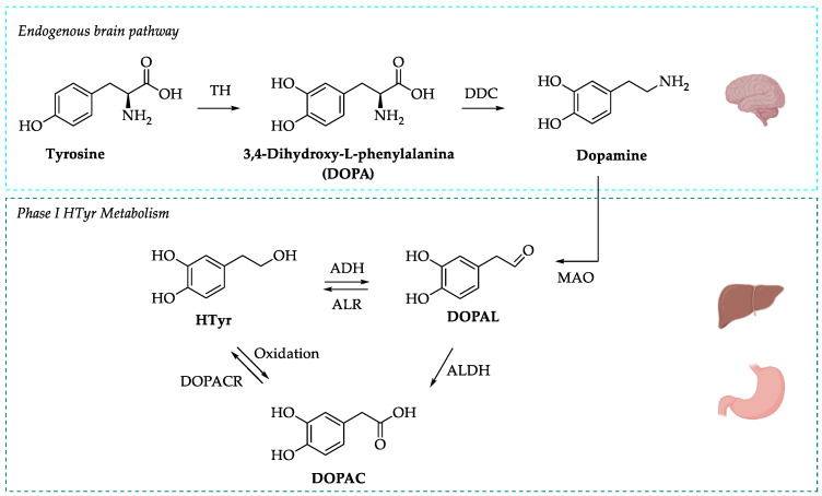 Scheme 3