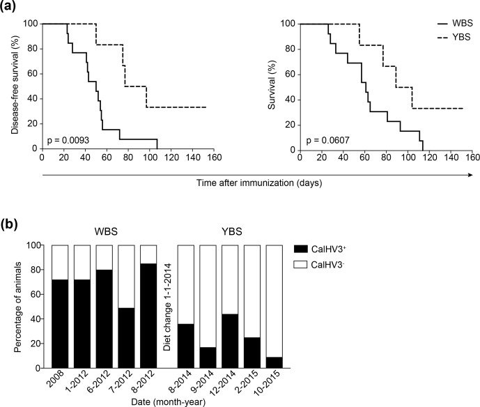 Figure 15