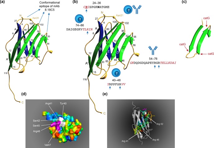 Figure 10